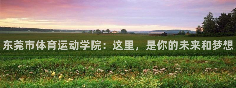 J9官方正版app娱乐网站：东莞市体育运动学院：这里