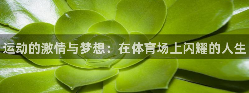 J9官方集团官网：运动的激情与梦想：在体育场上闪耀的