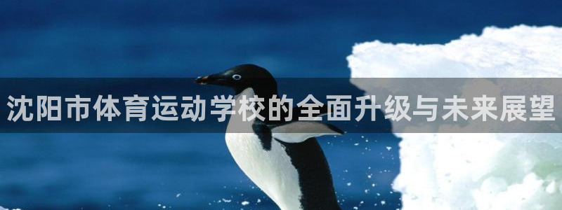 J9官方正版app娱乐代理怎么样：沈阳市体育运动学校