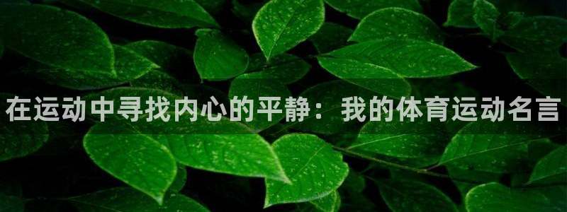 J9官网下载平台注册要钱吗安全吗：在运动中寻找内心的