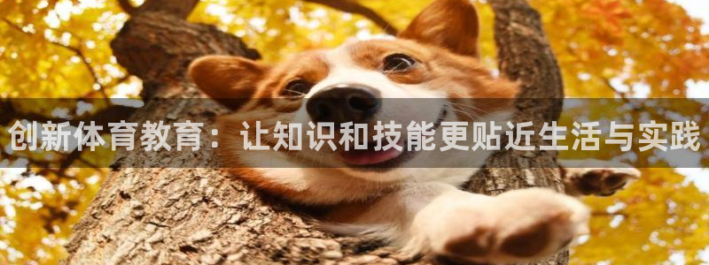J9官网下载平台注册要钱吗是真的吗：创新体育教育：让