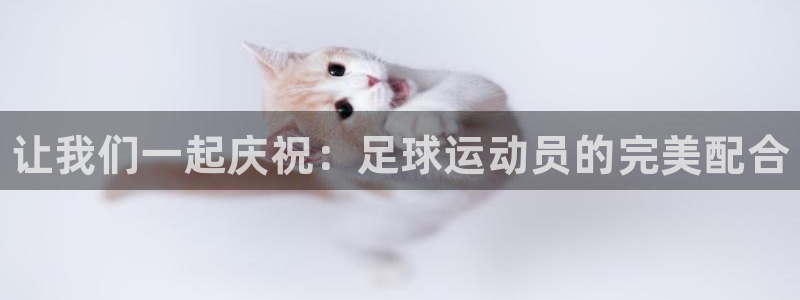 J9官方正版app娱乐平台：让我们一起庆祝：足球运动